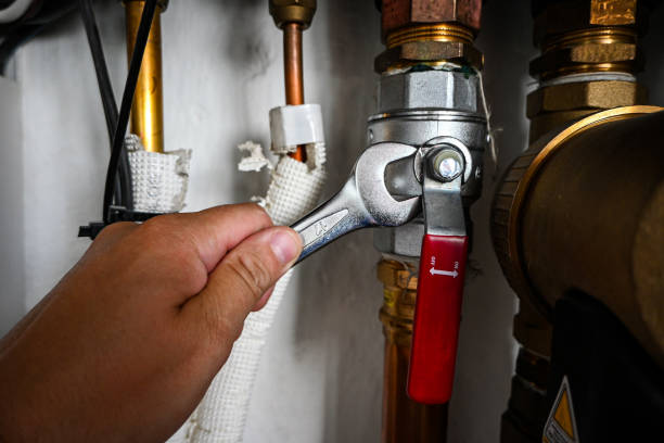 Best 24-Hour Plumber Near Me  in Riceville, TN